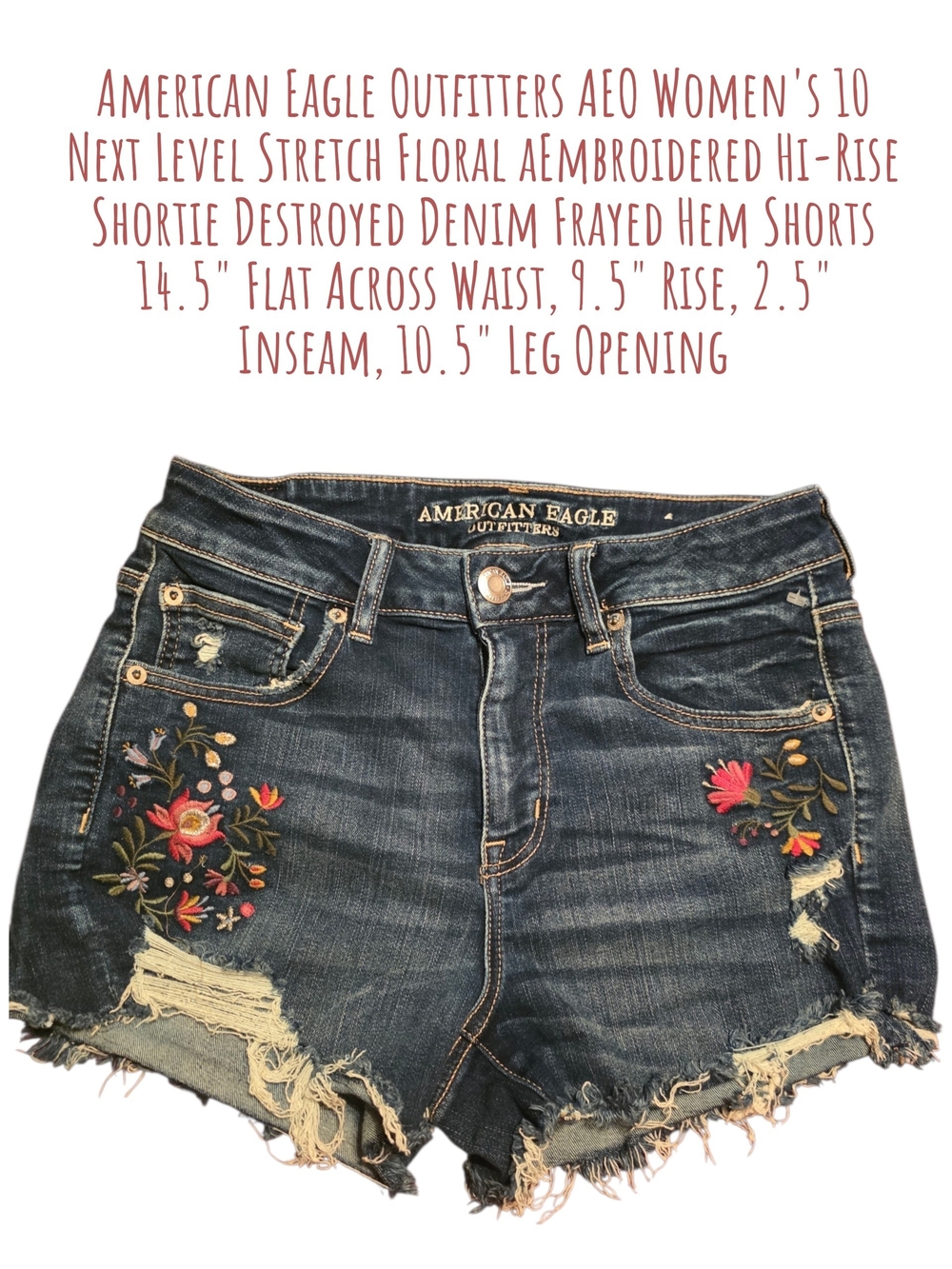 American Eagle Outfitters Dark Blue Embroidered Floral Hi-Rise Denim Shorts 10